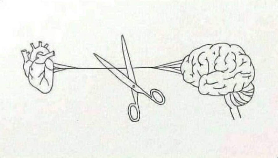 الصورة