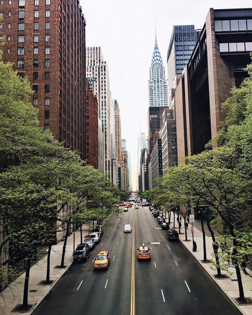 Took an <a href="/Uber_NYC/">Uber NYC</a> up to midtown east to capture this renown beauty 🙌🏻🚕🌳