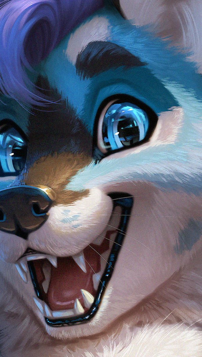 Dan BushDog 🔸 Comms Closed (@dan_bushdog) on Twitter photo 