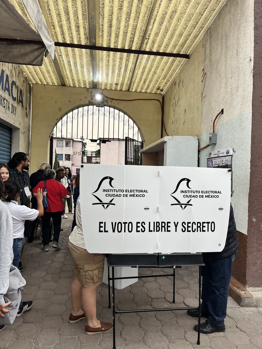 amanda luz tweet media