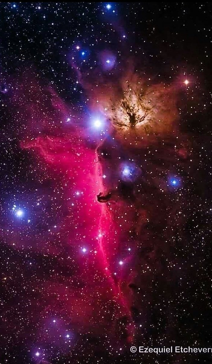 maiz_julio's tweet photo. IC434 Horsehead and Flame Nebula in Orion by Ezequiel Etcheverry #Space #Universe #Nebula https://t.co/ohYKNlJNdb