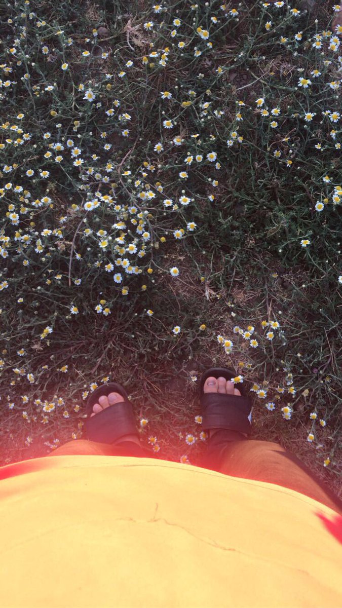 benhassoun78's tweet photo. 🌻 https://t.co/H1gXghKNjp