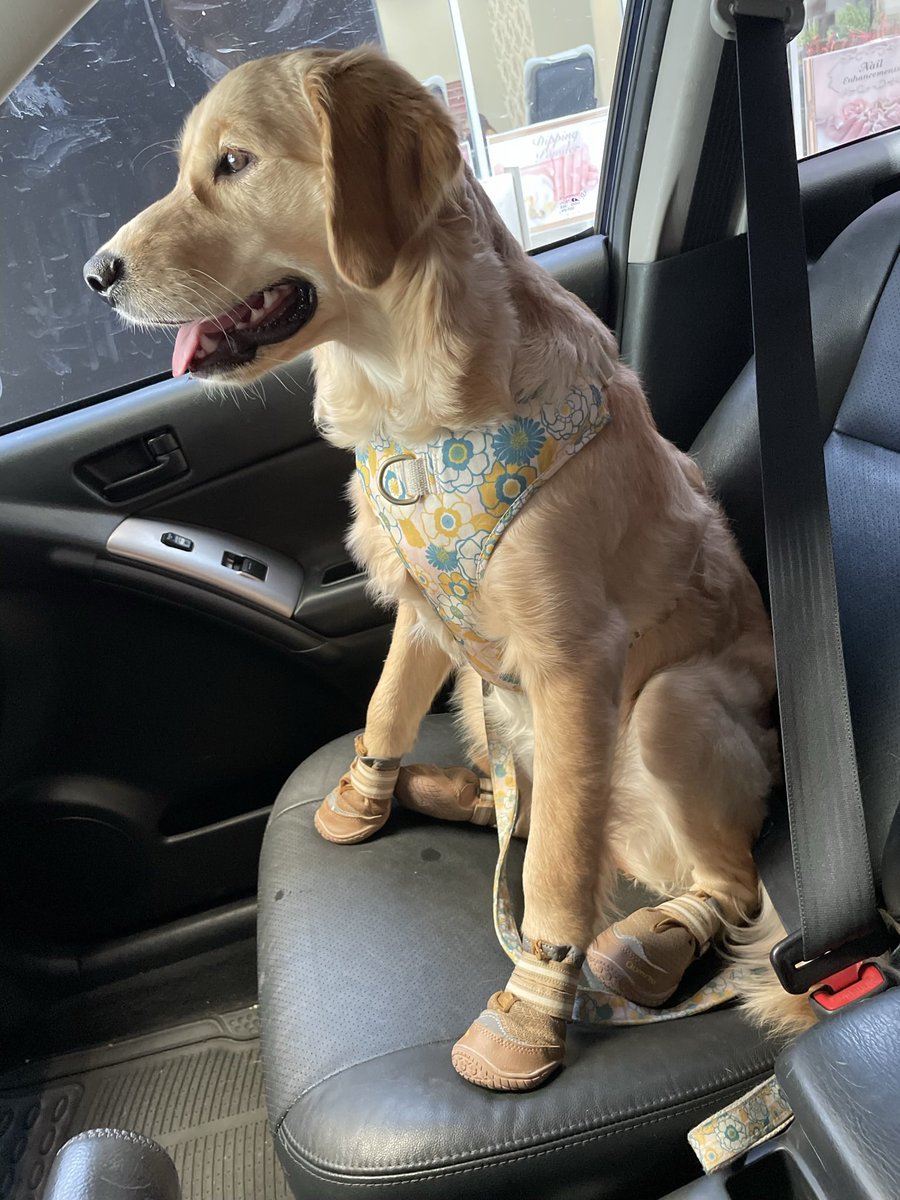 Where to next? #Arkansas #roadtrip