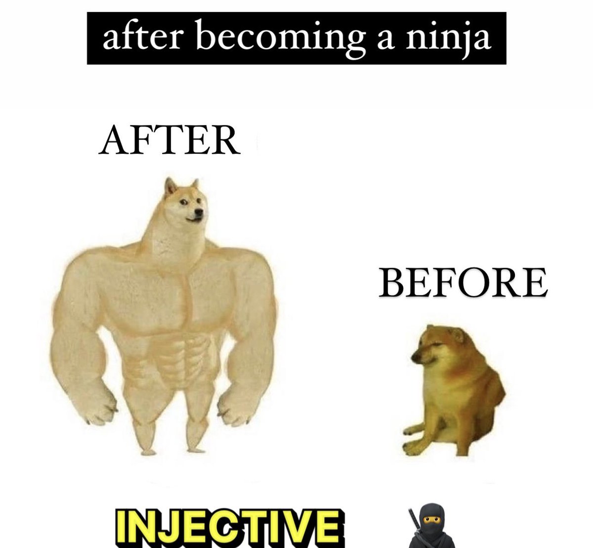 #NFTs #ninja $INJ #Injective #meme