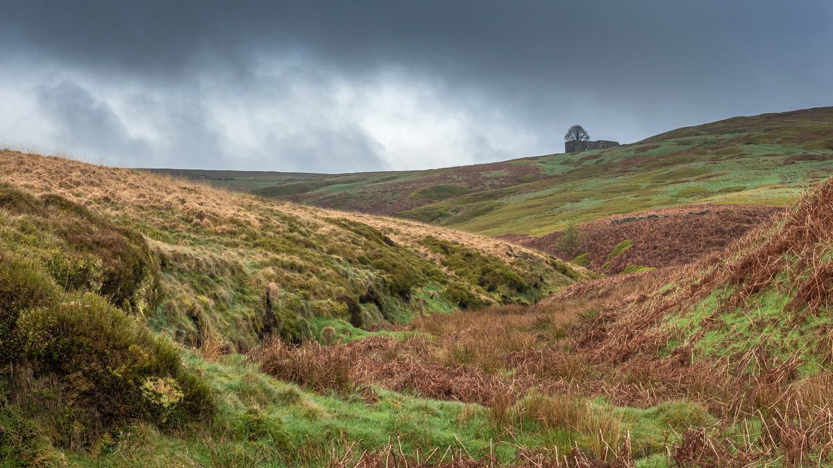 Brontë Country Landscapes tweet media