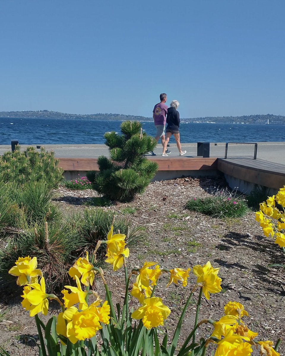 SeattleParks's tweet photo. Signs of the season are everywhere, even when the clouds and rain return. It's pretty hard to beat a nice spring day in Seattle, isn't it?

#SeattleSpring #LuckyUs

(Photos from Lincoln Park, Fremont Canal Park, and Alki Beach Park last week.) https://t.co/jd7A0u2qRz