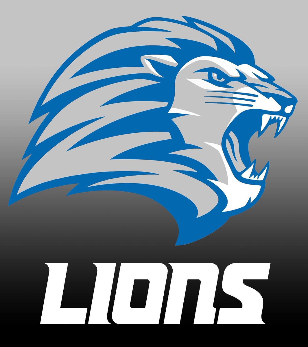 Lions Logo New