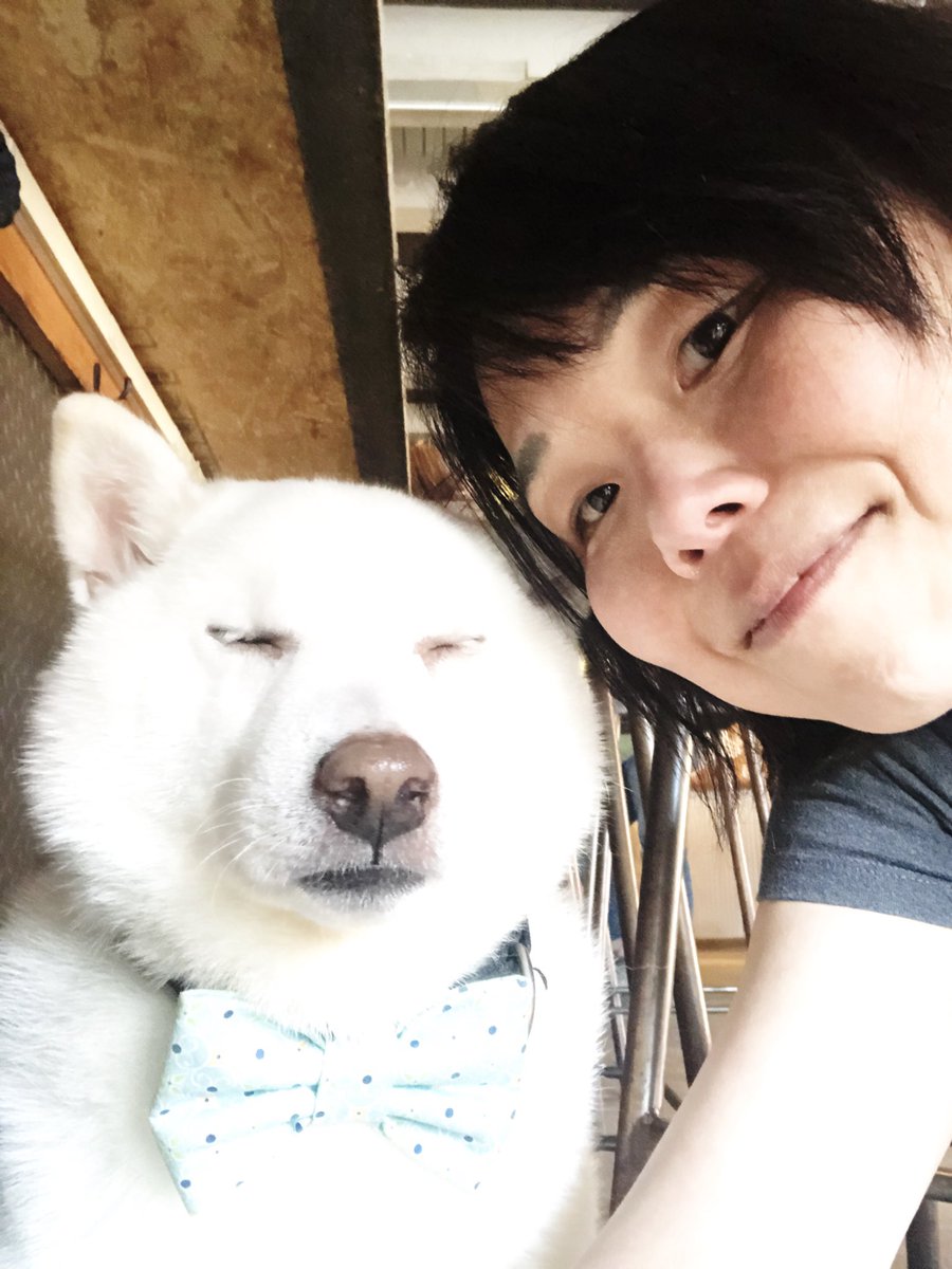 nomadic cellist (@nomadicello) on Twitter photo 