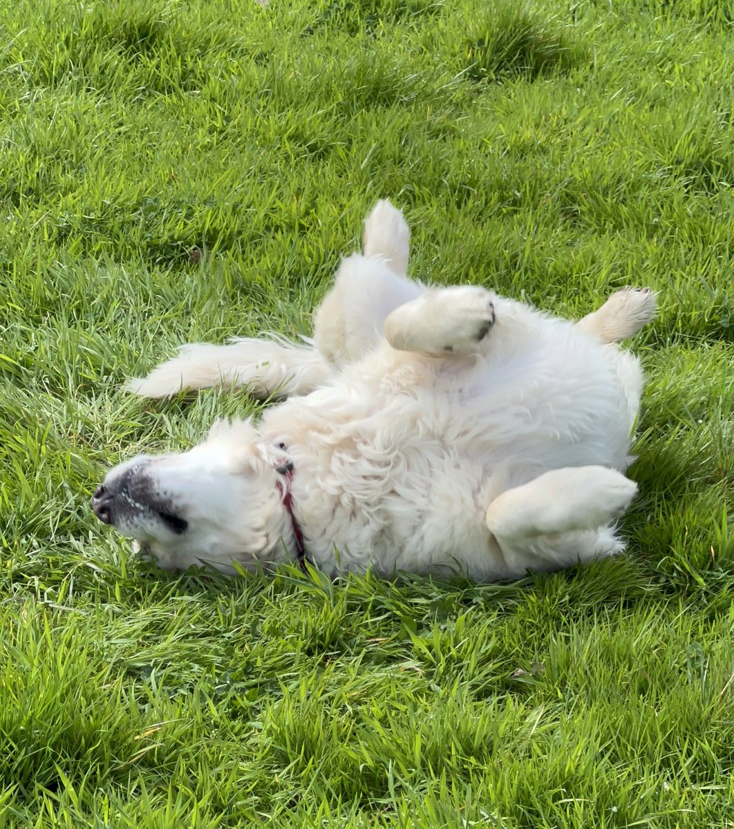 Bmo93's tweet image. Same same but different.