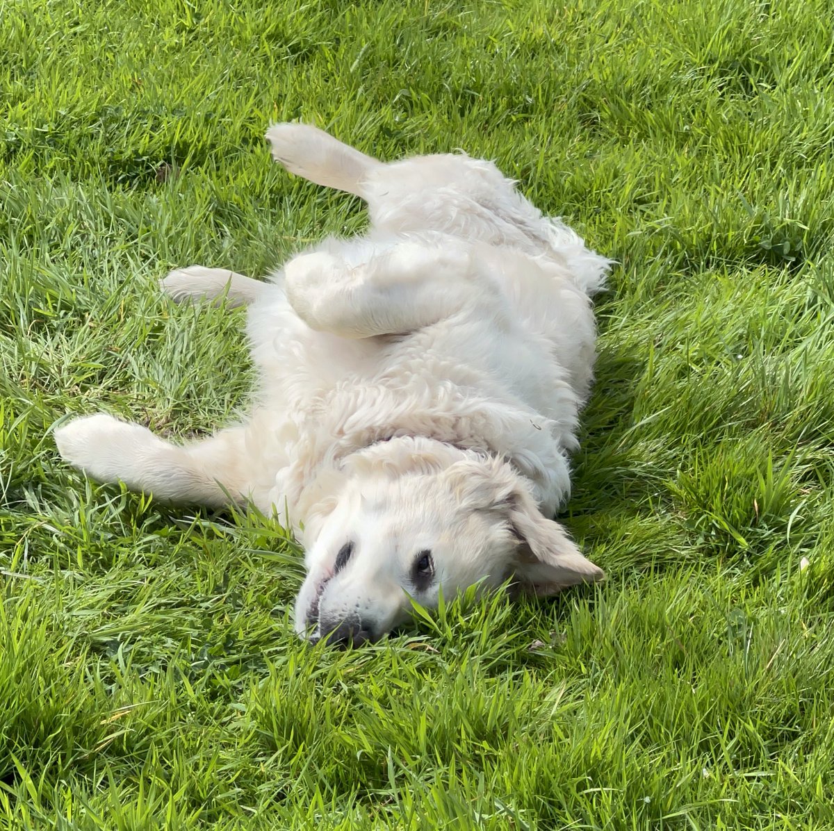 Bmo93's tweet image. Same same but different.