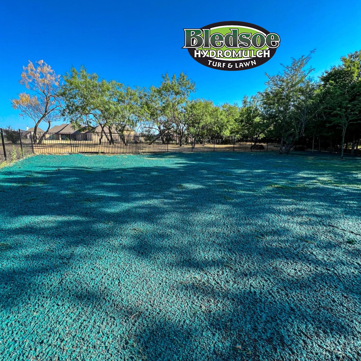 hydromulch's tweet photo. 💦 Have you recently had a pool installed &amp; need to repair all the damaged grass?

🎉 We can help! Bledsoe Hydromulch specializes in lawn rejuvenation and lawn installation. (214)784-5402

#hydromulch #hydromulching #hydroseeding #erosioncontrol #poolinstallation #lawnporn https://t.co/d50psEKxqT