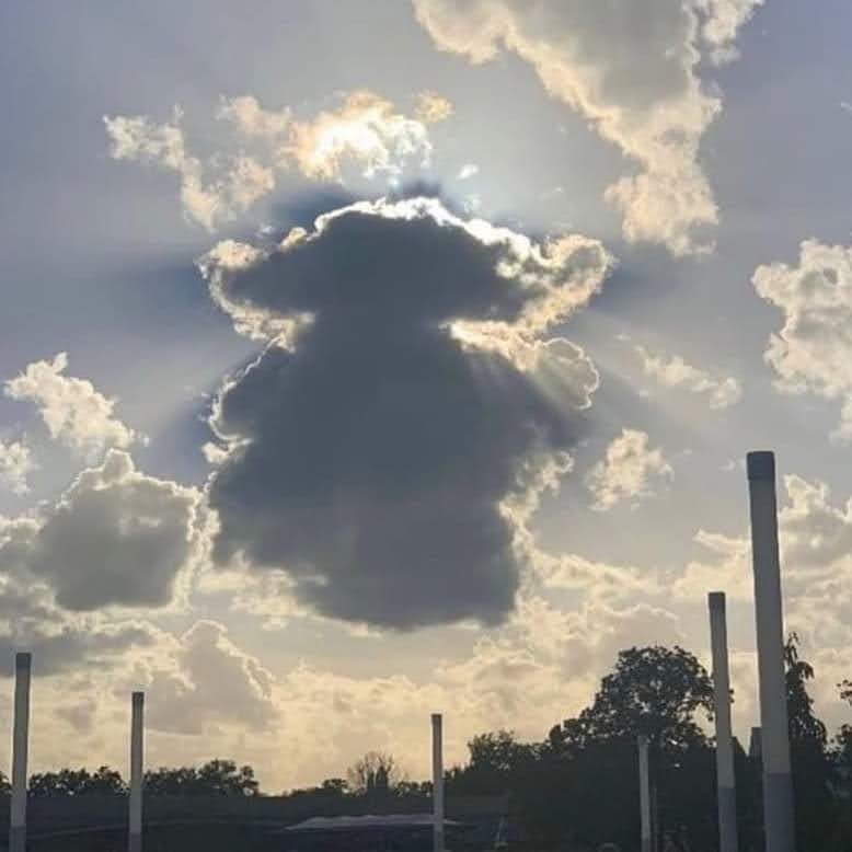 EliasZamoranoCL's tweet image. ¿Alguien más ve lo mismo que yo?