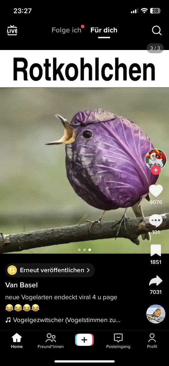 Wenn ihr wissen wollt, was mein Humor ist: Das

(Ich lache legit seit 15 Minuten darüber)