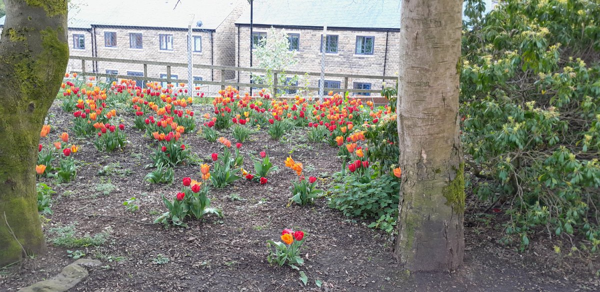 Beautiful afternoon at @FOHarehillPark with Whitworth Vale & Healey Band; Activities and performances from @Boroartsfest & @CleverClogger at Coronation Picnic; Thanks to all #volunteers from @FOHarehillPark, Littleborough & Area Ladies Circle & @Leaf4you #chilling #celebrating 😊