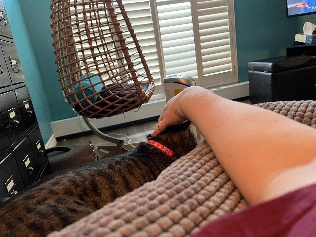 Meg DeForest tweet media