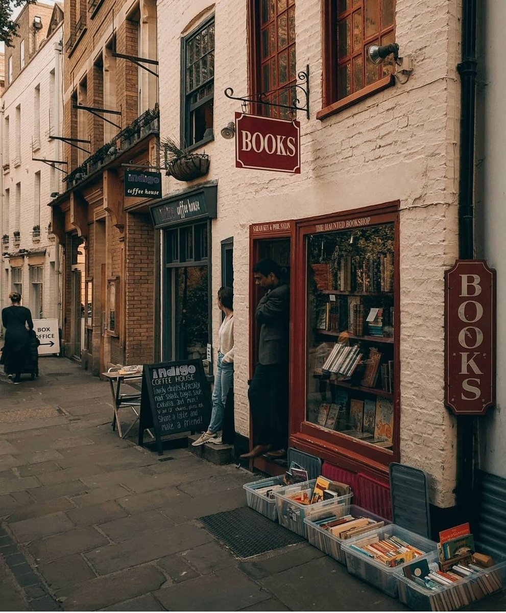 La belleza de los libros