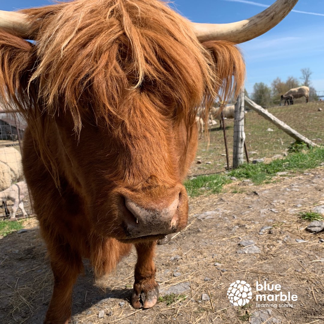 What a fun day on <a href="/TopsyFarms/">Topsy Farms</a> talking about sustainable tourism with @TIAOtweets for their IMPACT day. Plus we couldn’t help but throw in some quick activities about #biodiversity and #geology