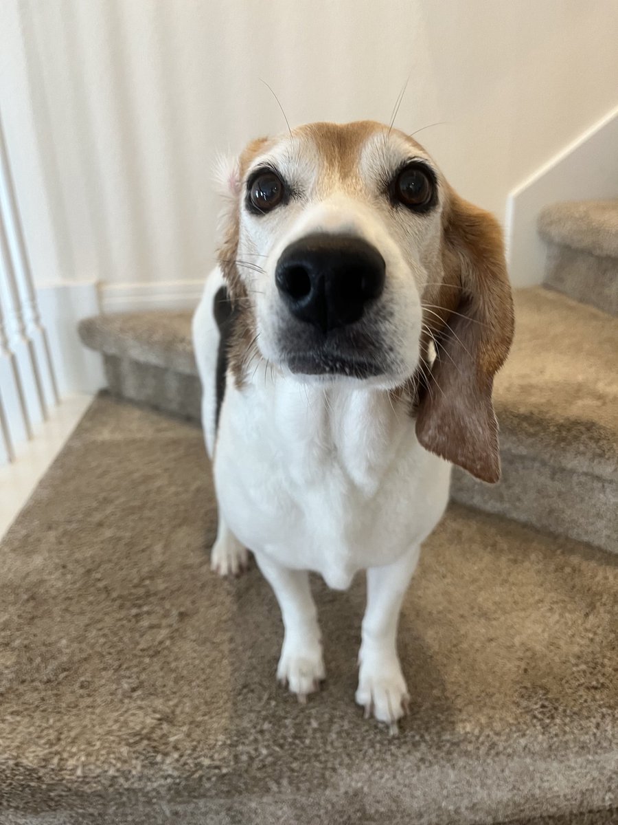 Barb Looney tweet media