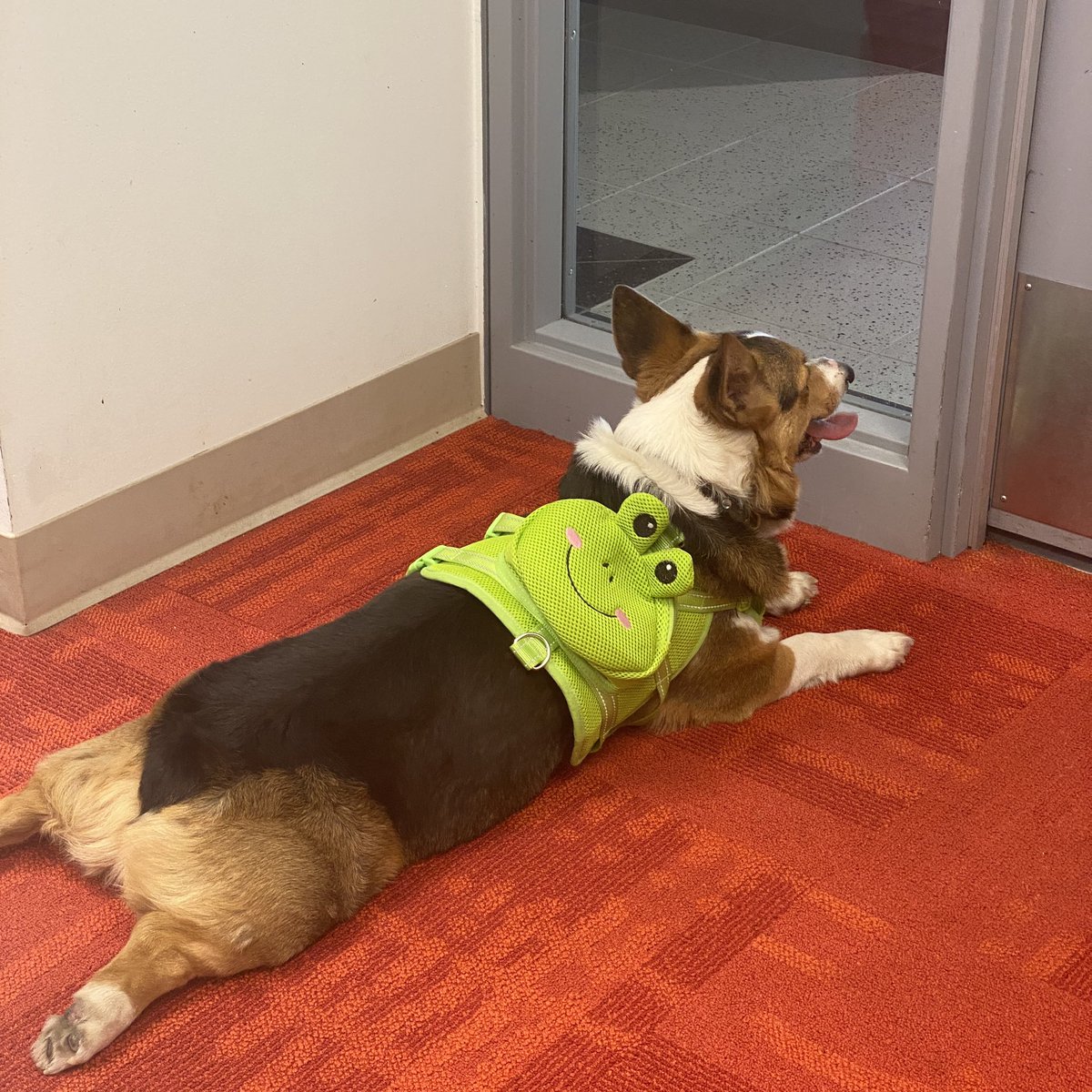 Vy Luong tweet media