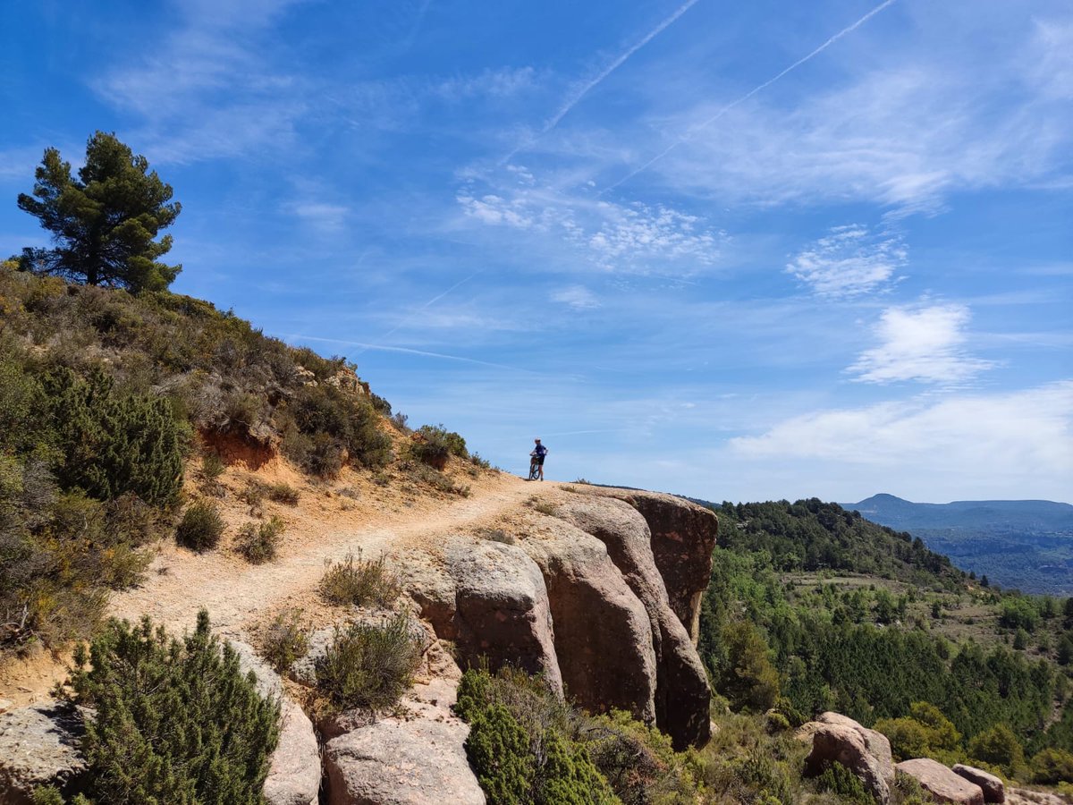 larroser's tweet photo. Dos dies ben compartits de #btt amunt i avall per pistes i corriols pedregosos entre roques, barrancs i baumes, vinyes, ametllers i oliveres, pel preciós #montsant. #escaladei #lamorera #cornudella #albarca #margalef #labisbal #cabaces #lavilella 🚵🤸📸🦋🪻
#cegbtt https://t.co/jFNDcqTKir