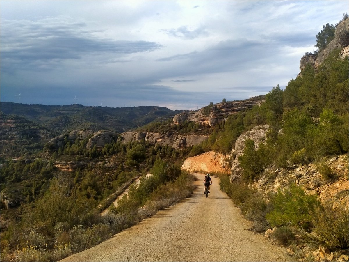 larroser's tweet photo. Dos dies ben compartits de #btt amunt i avall per pistes i corriols pedregosos entre roques, barrancs i baumes, vinyes, ametllers i oliveres, pel preciós #montsant. #escaladei #lamorera #cornudella #albarca #margalef #labisbal #cabaces #lavilella 🚵🤸📸🦋🪻
#cegbtt https://t.co/jFNDcqTKir