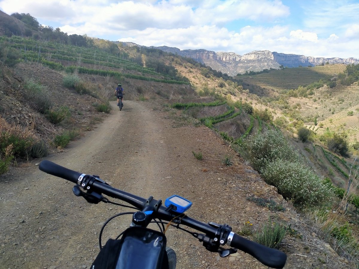 larroser's tweet photo. Dos dies ben compartits de #btt amunt i avall per pistes i corriols pedregosos entre roques, barrancs i baumes, vinyes, ametllers i oliveres, pel preciós #montsant. #escaladei #lamorera #cornudella #albarca #margalef #labisbal #cabaces #lavilella 🚵🤸📸🦋🪻
#cegbtt https://t.co/jFNDcqTKir