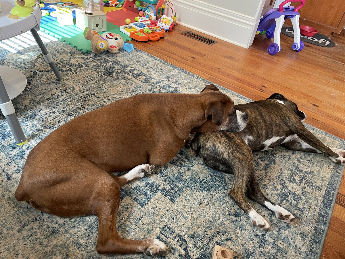 saving this for when he acts like he doesn’t like her