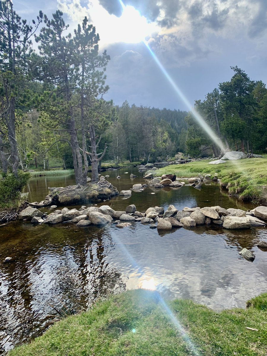 ippae's tweet image. He estado algo desconectada de twitter y no se si me gusta menos o lo veo mas complicado desde la nueva direccion. 
Alguna opinion?