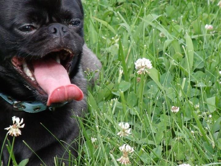 Dr. Crystal M. Watson tweet media