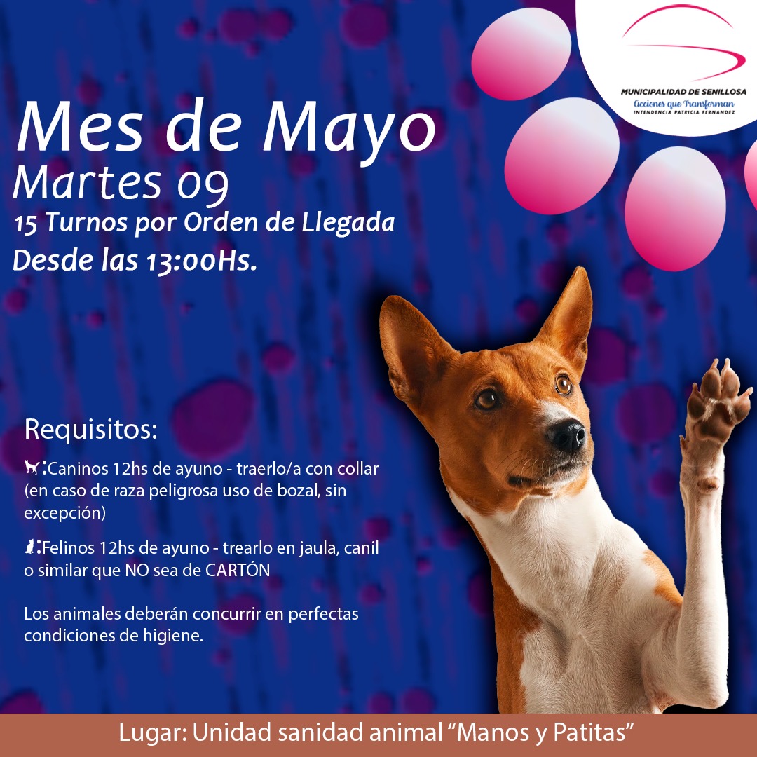 09 MAYO CASTRACIONES GRATUITAS

La Unidad Municipal de Sanidad Animal "Manos y Patitas", informa las castraciones programadas para el Martes 09 de MAYO.