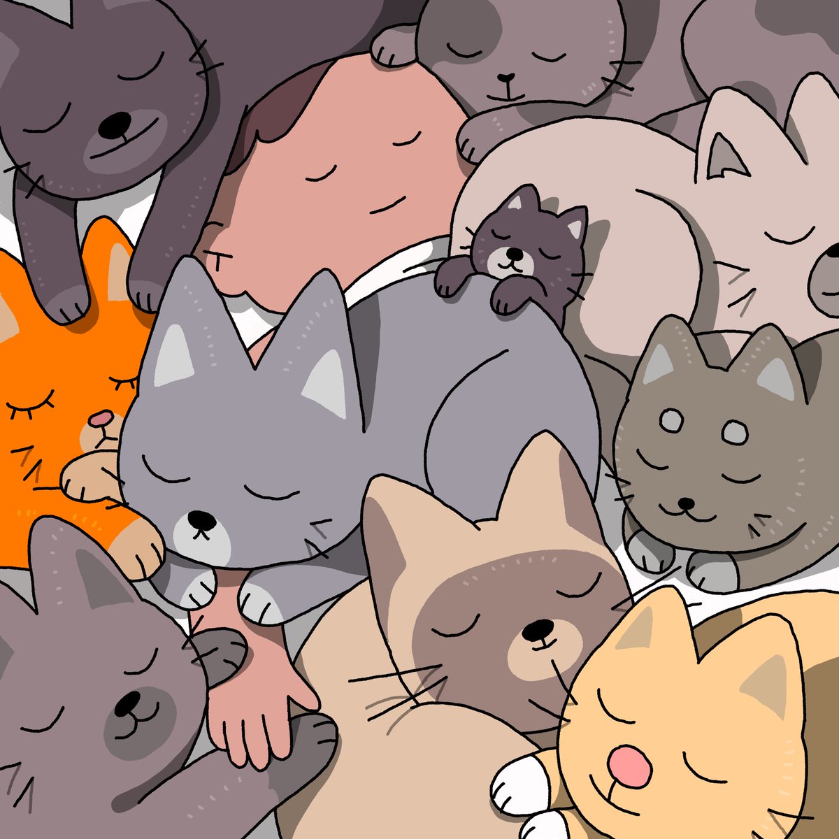ilyakazakov's tweet photo. gn my frens 😌✨ https://t.co/XdZKa98uGl