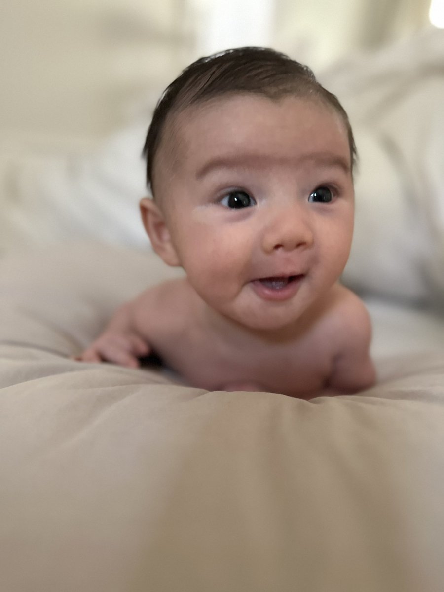 Matt Schlicht on Twitter "I’ve done many things in life, but I’m most