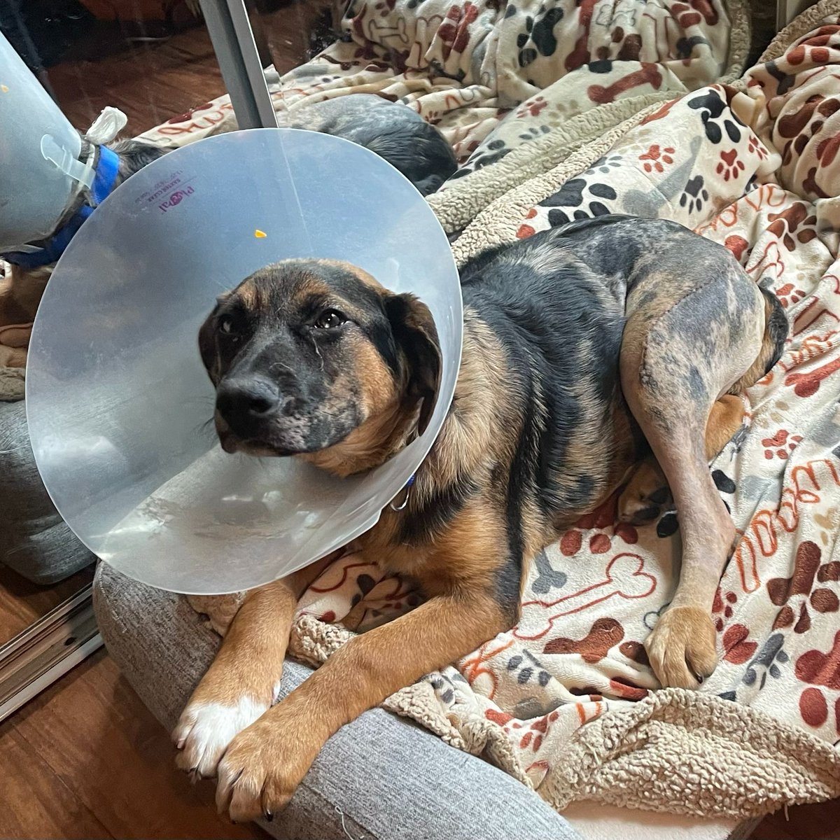 The Arrow Fund tweet media