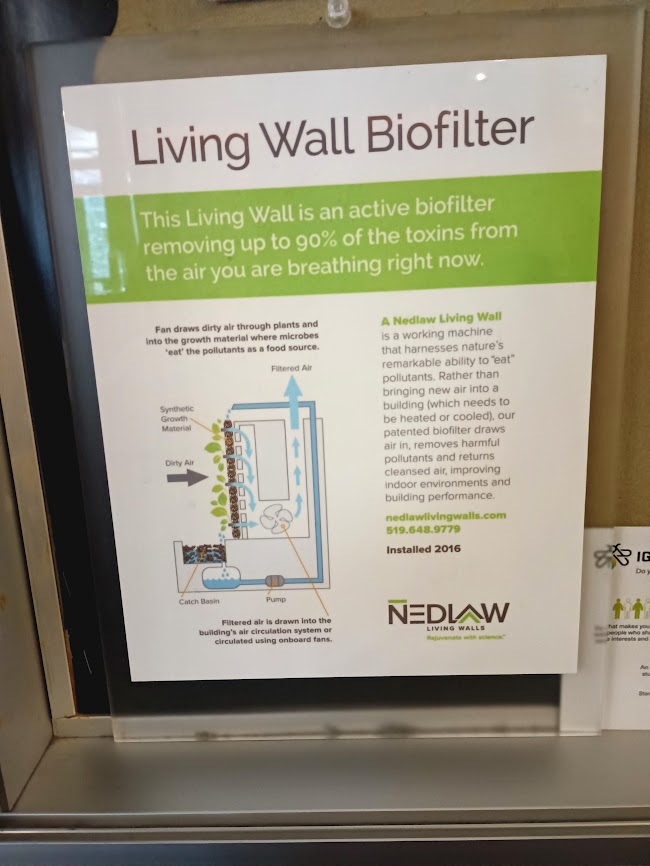 GetTogetherTO's tweet image. Come to the #UofGH Science Rendezvous next Sat May 13th from 10 - 2pm in #Etobicoke  Check out 40+ student-led #STEAM activities plus their beautiful #livingwall  Bring your family &amp;amp; friends There's something for everyone!  Register now guelphhumber.ca/science-rendez… @sci_rendezvous