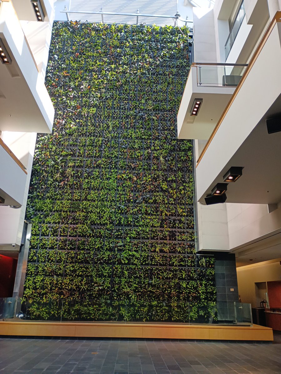 GetTogetherTO's tweet image. Come to the #UofGH Science Rendezvous next Sat May 13th from 10 - 2pm in #Etobicoke  Check out 40+ student-led #STEAM activities plus their beautiful #livingwall  Bring your family &amp;amp; friends There's something for everyone!  Register now guelphhumber.ca/science-rendez… @sci_rendezvous