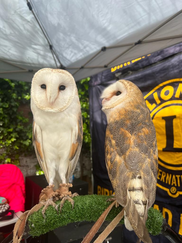 Equilibrium NW CIC tweet media