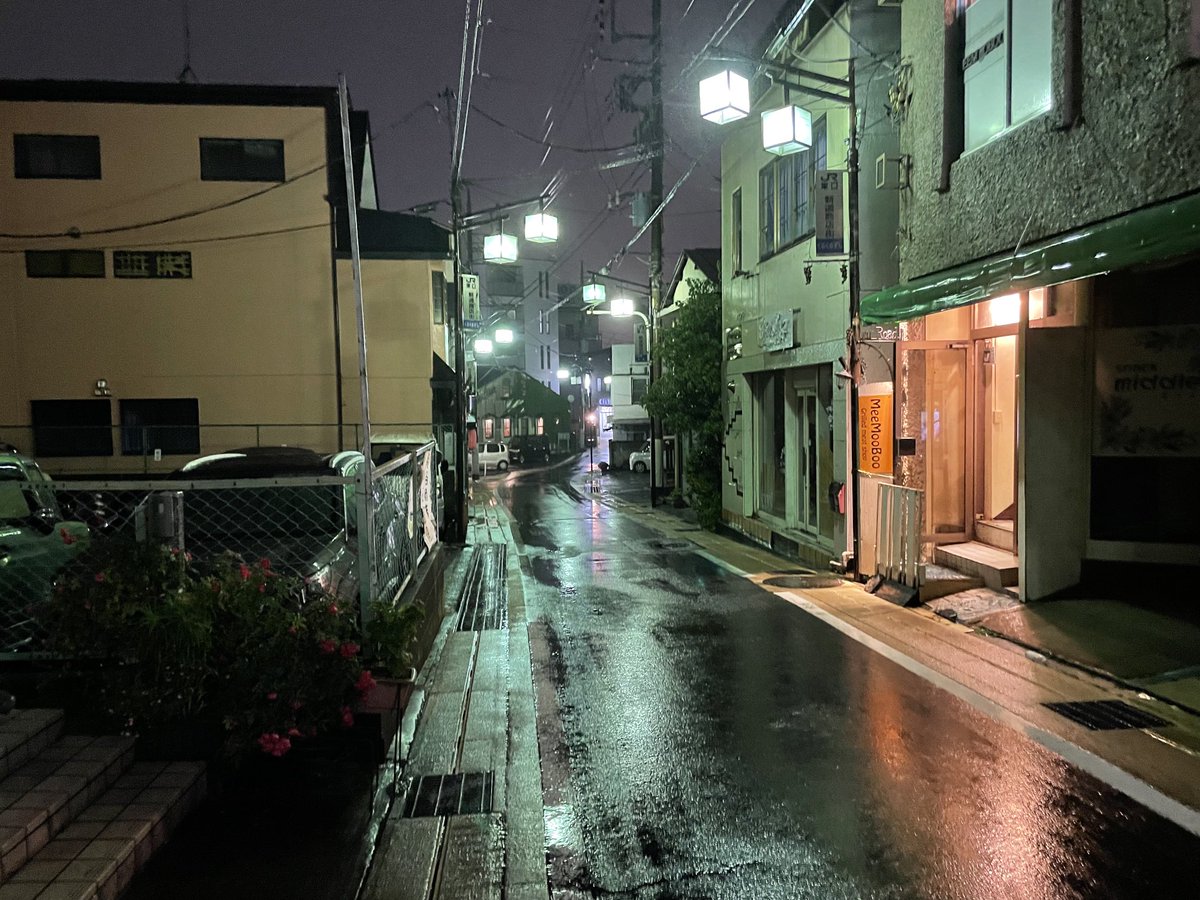 Hoofin's tweet image. It is raining again today in Narita, as I’m sure it must be in your part of Kanto.  This, after those incredibly windy days.  We are paying for last Thursday. #NotMySpring