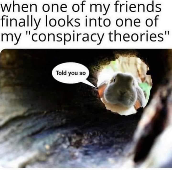 iluminatibot's tweet image. 