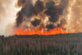 ThierryAaron's tweet photo. TFW both Alberta and Siberia are on fire🔥... in May 😵 https://t.co/d9GsrZoQLw