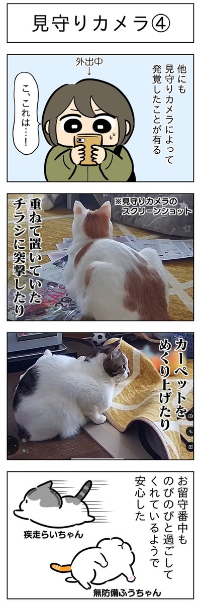 見守りカメラ③④│フェリシモ猫部 