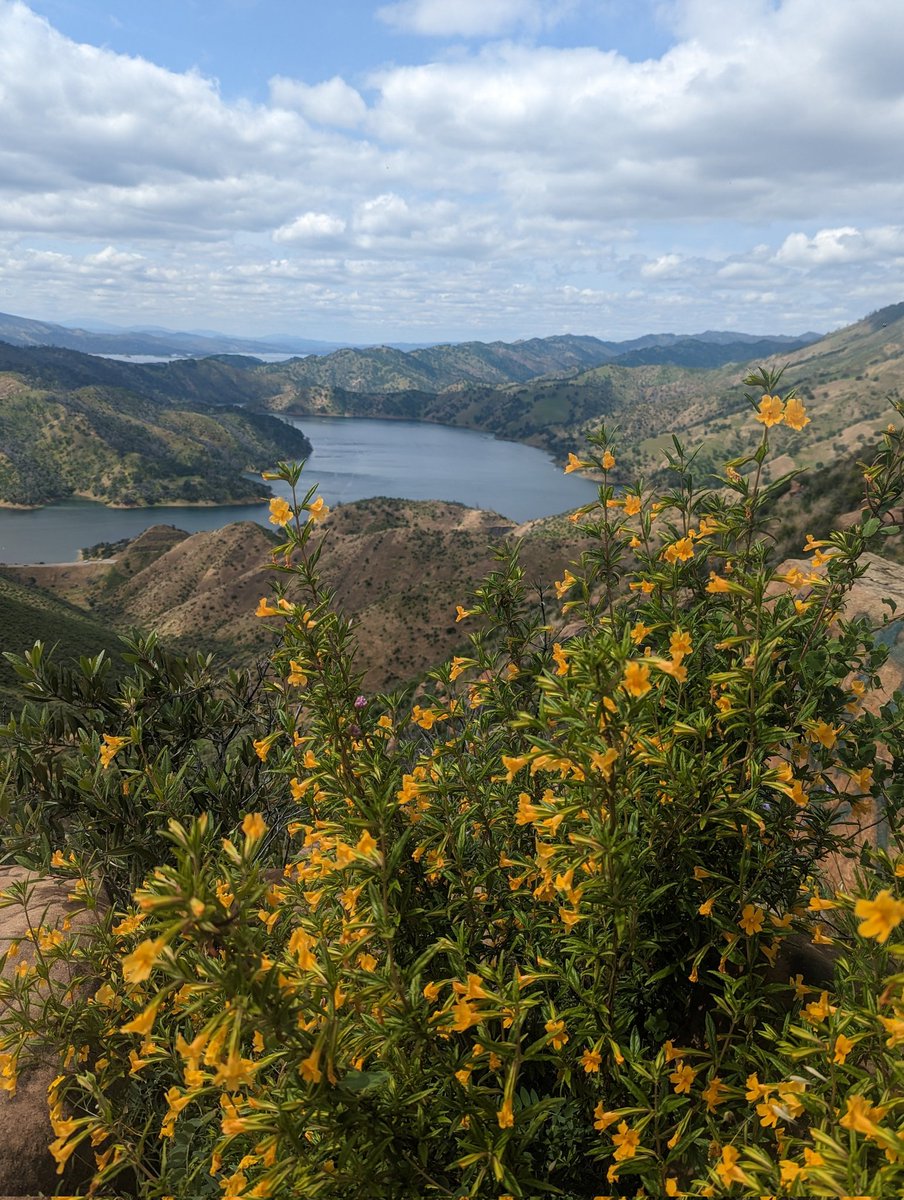 Looking down at Lake Berryessa from the Blue Ridge trail at Stebbins Cold Canyon
