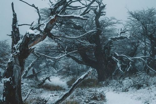 Vexana_Riplax's tweet image. Let&apos;s this journey, begin!

#Ripplax #GIRYPTO $GIR #WEB5 #IP #W5IP #CCBYSA