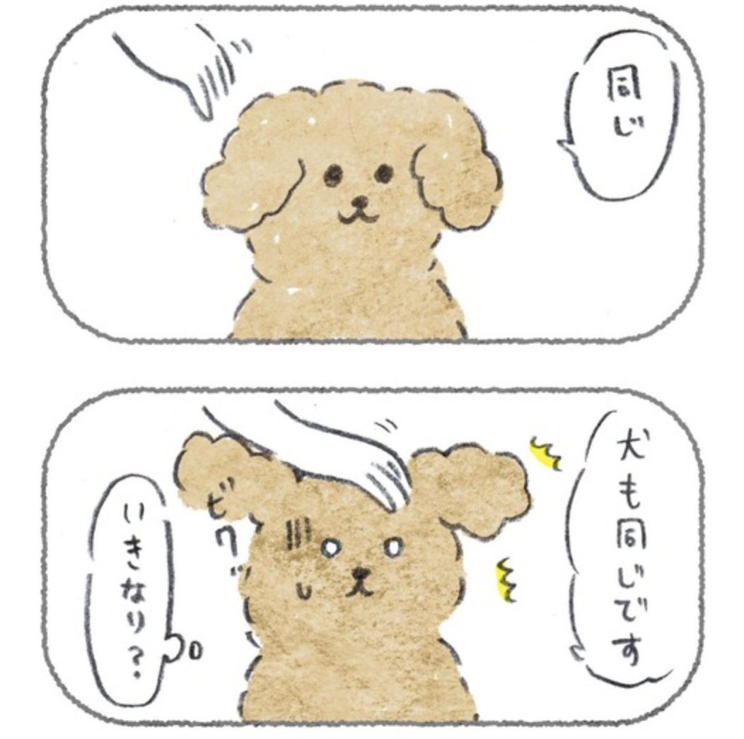 犬への声かけ3年やった結果 ●つづき→ #豆しばこつぶ