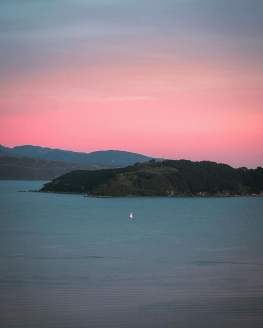 WgtnCC's tweet photo. Cotton candy skies over Te Whanganui-a-Tara 🌇

📸@guipassosnz

#CBWOAGD #OurWellington #TōTātouPōneke https://t.co/3lerTt8vQF