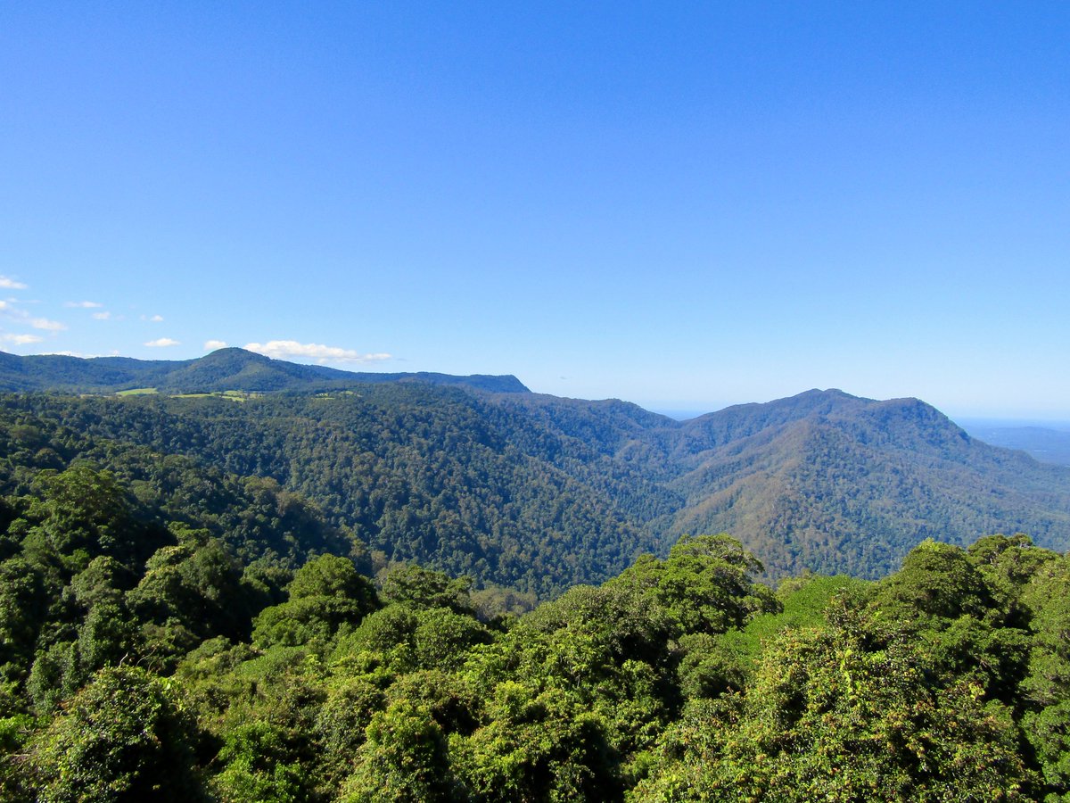 AwayMaja's tweet photo. The views over #DorrigoRainforest along the #WaterfallWay 😍💚 loved the hike to #CrystalShowerFalls here! 💧
#FeelNSW #NSWParks #DorrigoNationalPark @NewSouthWales #Australia https://t.co/cAQkBUSvga