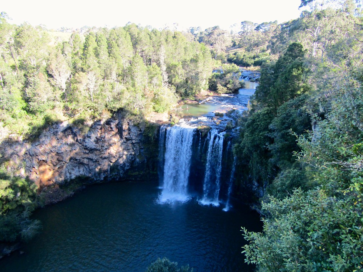 AwayMaja's tweet photo. I made a bit of a detour away from the #EastCoast to check out the #WaterfallWay β and I'm so glad I did π₯° this is a stunning part of #Australia!
π #RedCedarFalls
π #DangarFalls
π #EborFalls
#FeelNSW #RoadTrip #Waterfalls #DorrigoNationalPark @NewSouthWales https://t.co/10kF6nYln9