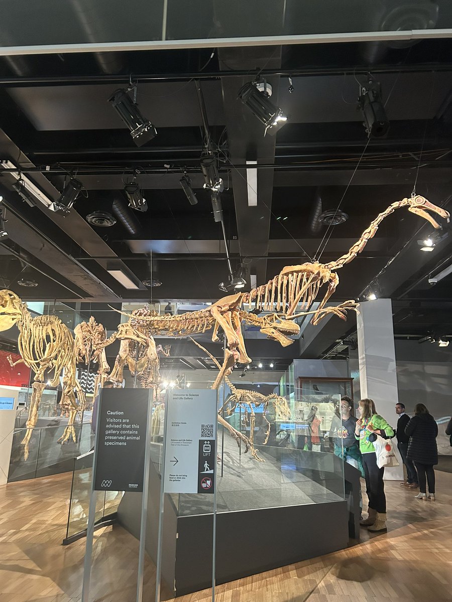 GarveyMrs's tweet photo. We are now exploring the Melbourne Museum @stpeterssws https://t.co/FXVABpvtir