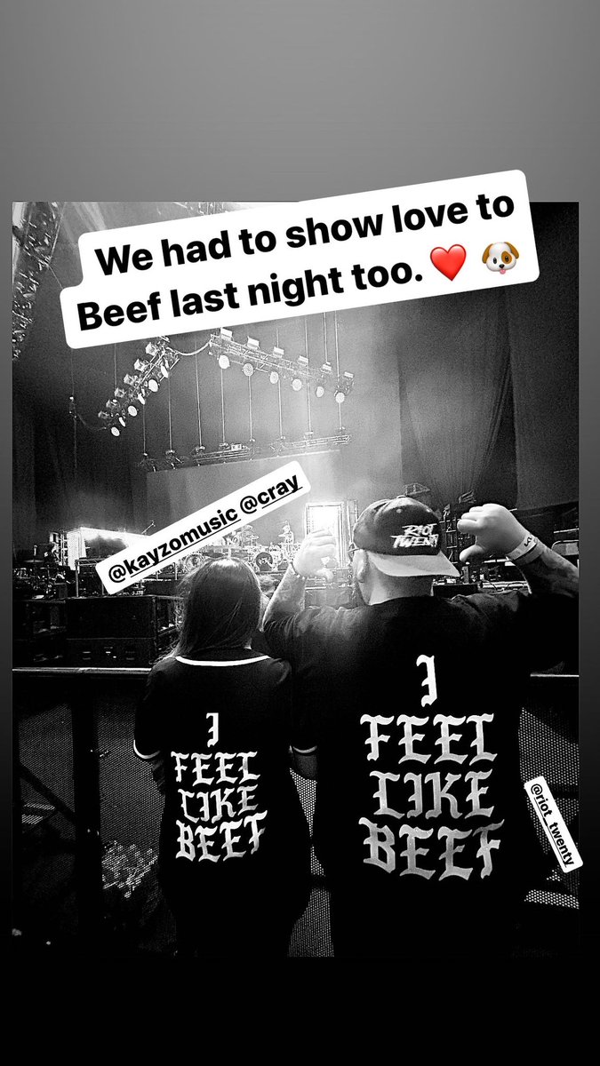 hustlincakes's tweet image. We didnt forget about Beef! ❤️🐶 @BeefThings @craymusic @KayzoMusic