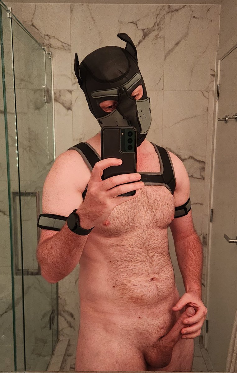 NZPupDion's tweet photo. Thinking about how the boyfriend came 6 times yesterday. It's got me really worked up... 😏 https://t.co/Xehw0sz6nl