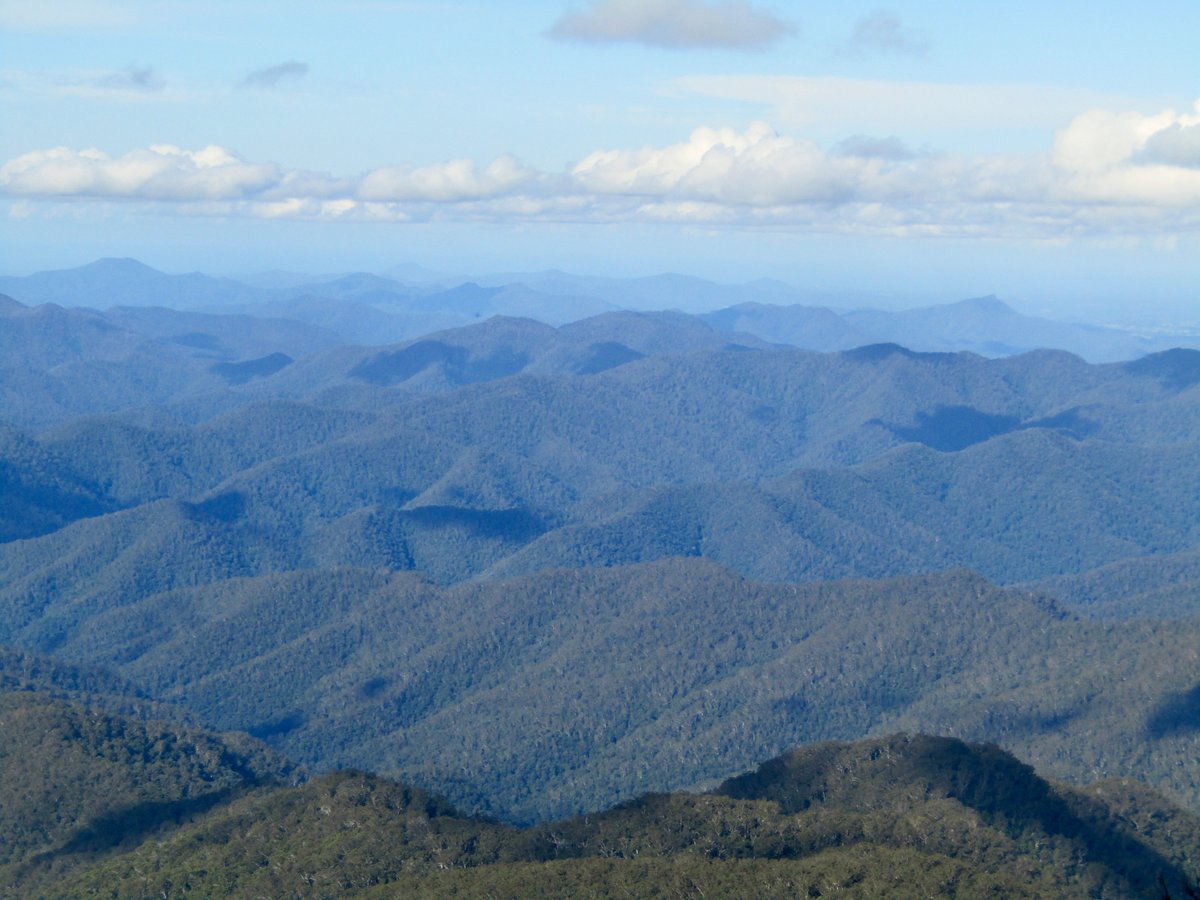 AwayMaja's tweet photo. They say a picture is worth a thousand words, so here are three from one of the most spectacular places I've seen in #Australia 😍
#PointLookout in #NewEnglandNationalPark 🏞
#WaterfallWay #NSWParks #FeelNSW @NewSouthWales @Australia https://t.co/5SY6qzptFk